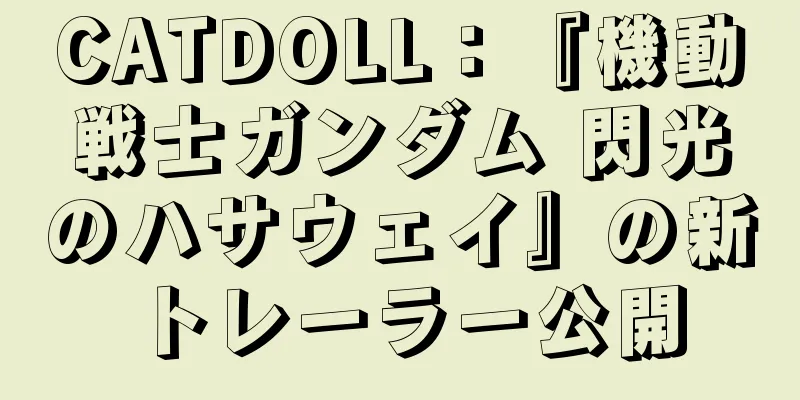 CATDOLL：『機動戦士ガンダム 閃光のハサウェイ』の新トレーラー公開