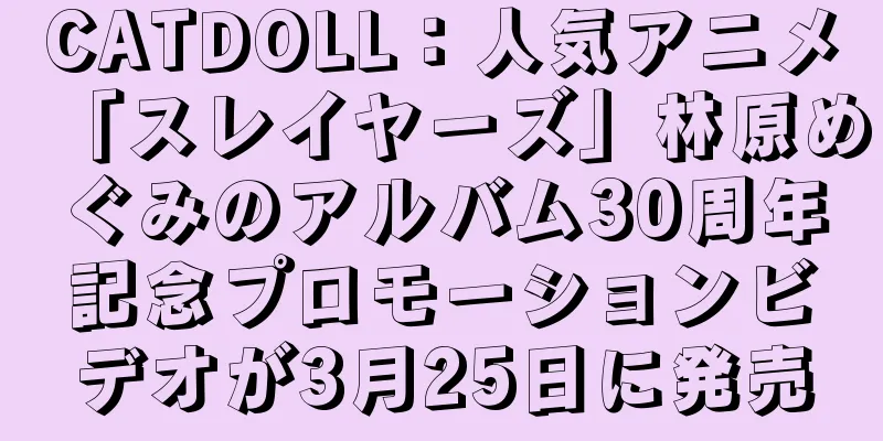 CATDOLL：人気アニメ「スレイヤーズ」林原めぐみのアルバム30周年記念プロモーションビデオが3月25日に発売