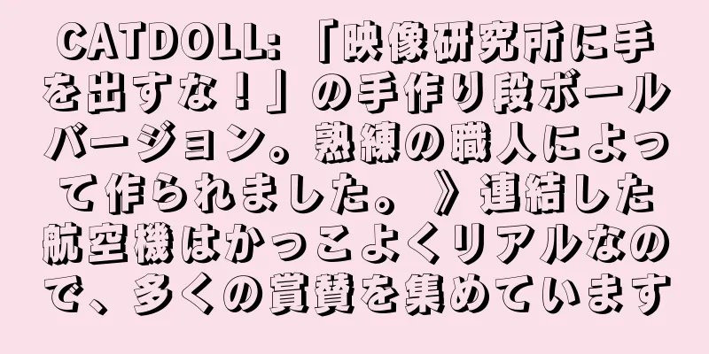 CATDOLL: 「映像研究所に手を出すな！」の手作り段ボールバージョン。熟練の職人によって作られました。 》連結した航空機はかっこよくリアルなので、多くの賞賛を集めています