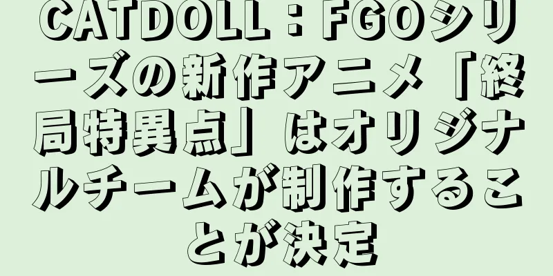 CATDOLL：FGOシリーズの新作アニメ「終局特異点」はオリジナルチームが制作することが決定