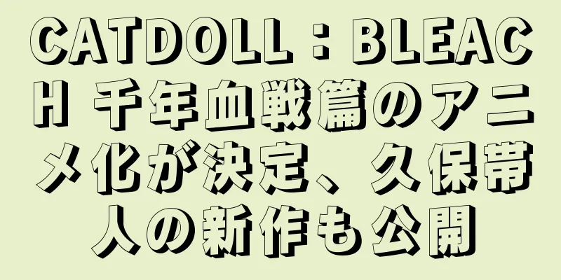 CATDOLL：BLEACH 千年血戦篇のアニメ化が決定、久保帯人の新作も公開