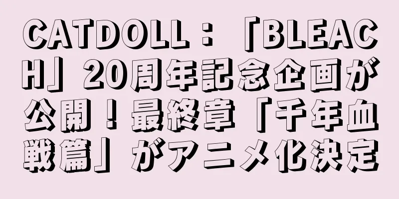 CATDOLL：「BLEACH」20周年記念企画が公開！最終章「千年血戦篇」がアニメ化決定