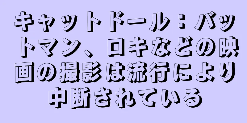 キャットドール：バットマン、ロキなどの映画の撮影は流行により中断されている