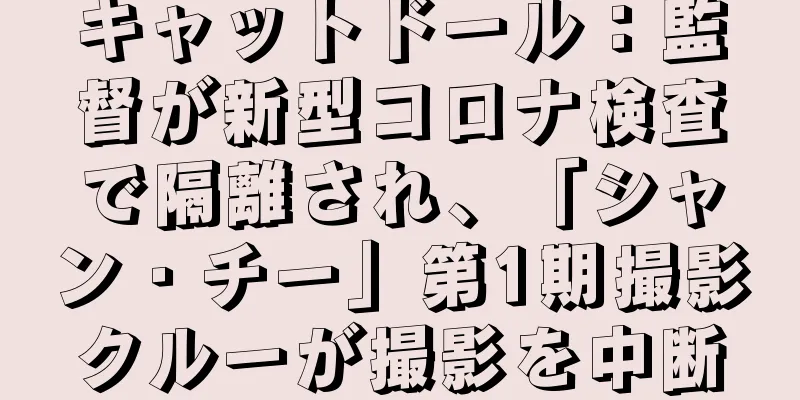 キャットドール：監督が新型コロナ検査で隔離され、「シャン・チー」第1期撮影クルーが撮影を中断