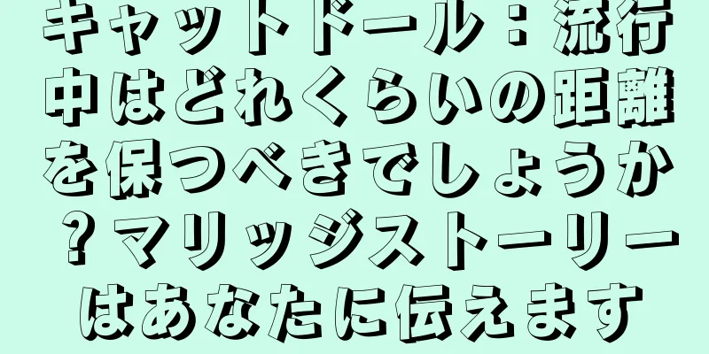 キャットドール：流行中はどれくらいの距離を保つべきでしょうか？マリッジストーリーはあなたに伝えます