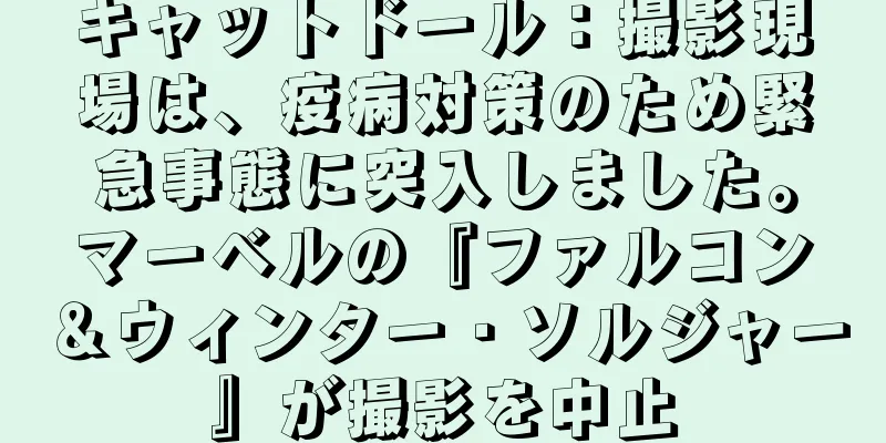 キャットドール：撮影現場は、疫病対策のため緊急事態に突入しました。マーベルの『ファルコン＆ウィンター・ソルジャー』が撮影を中止