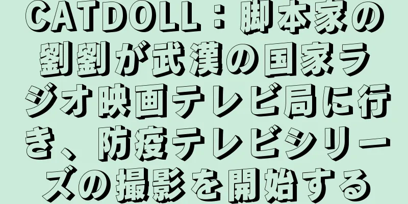 CATDOLL：脚本家の劉劉が武漢の国家ラジオ映画テレビ局に行き、防疫テレビシリーズの撮影を開始する