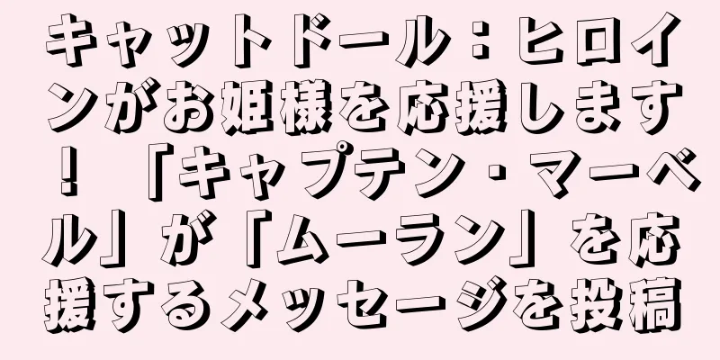 キャットドール：ヒロインがお姫様を応援します！ 「キャプテン・マーベル」が「ムーラン」を応援するメッセージを投稿