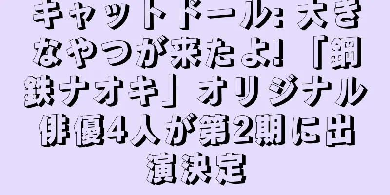 キャットドール: 大きなやつが来たよ! 「鋼鉄ナオキ」オリジナル俳優4人が第2期に出演決定
