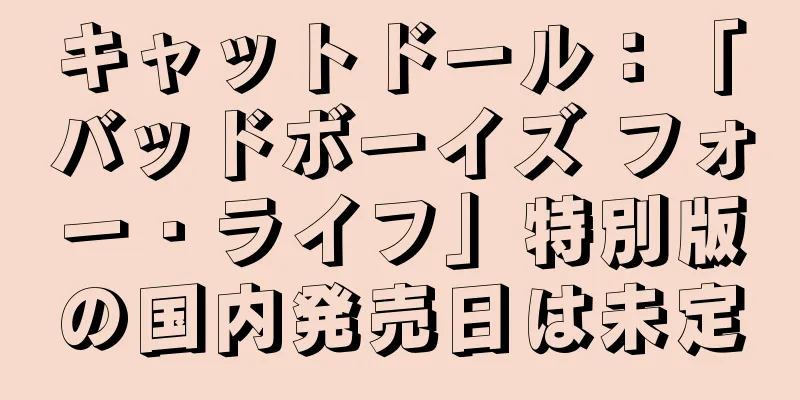 キャットドール：「バッドボーイズ フォー・ライフ」特別版の国内発売日は未定