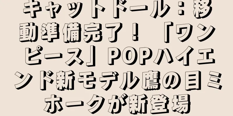 キャットドール：移動準備完了！ 「ワンピース」POPハイエンド新モデル鷹の目ミホークが新登場