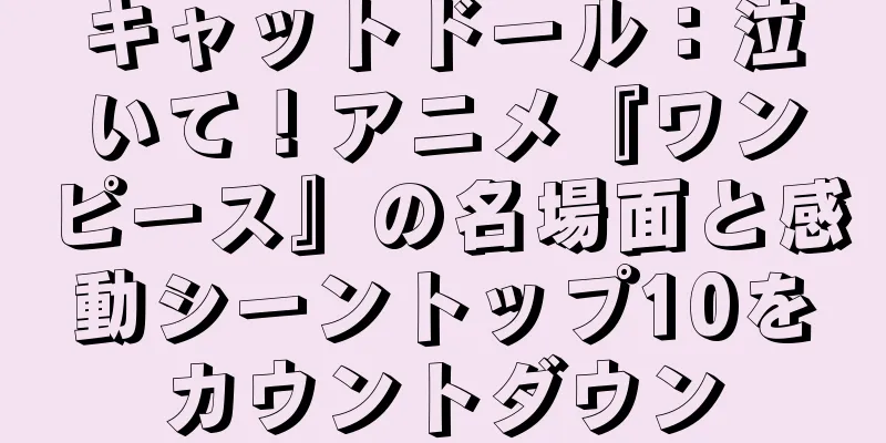 キャットドール：泣いて！アニメ『ワンピース』の名場面と感動シーントップ10をカウントダウン