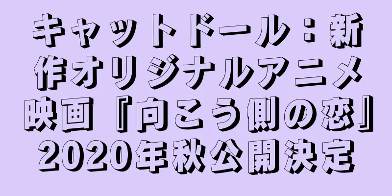 キャットドール：新作オリジナルアニメ映画『向こう側の恋』2020年秋公開決定
