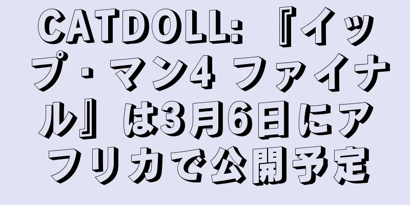 CATDOLL: 『イップ・マン4 ファイナル』は3月6日にアフリカで公開予定