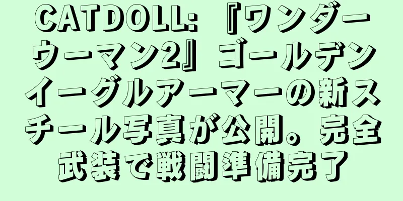 CATDOLL: 『ワンダーウーマン2』ゴールデンイーグルアーマーの新スチール写真が公開。完全武装で戦闘準備完了