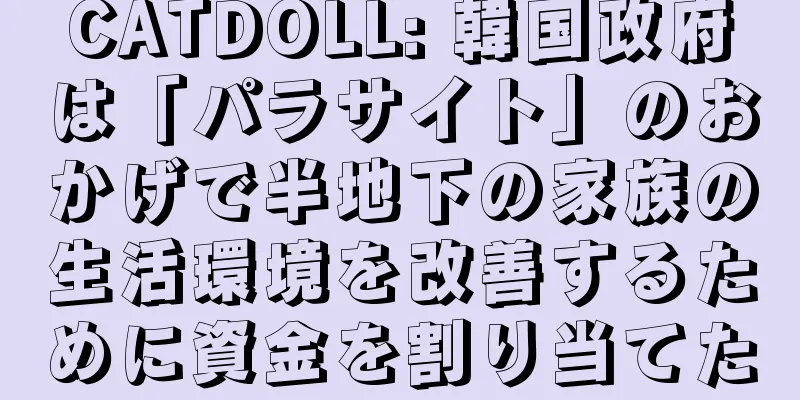 CATDOLL: 韓国政府は「パラサイト」のおかげで半地下の家族の生活環境を改善するために資金を割り当てた
