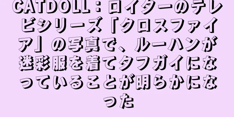 CATDOLL：ロイターのテレビシリーズ「クロスファイア」の写真で、ルーハンが迷彩服を着てタフガイになっていることが明らかになった
