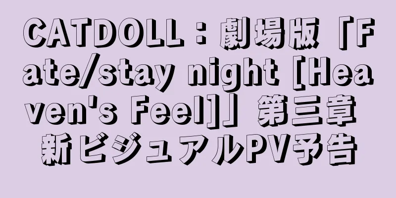 CATDOLL：劇場版「Fate/stay night [Heaven's Feel]」第三章 新ビジュアルPV予告
