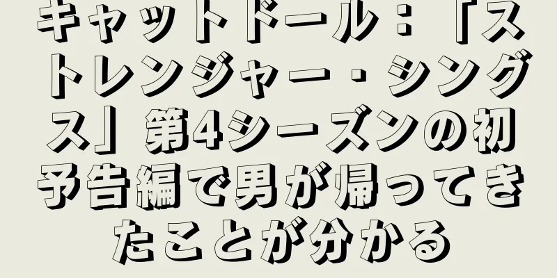 キャットドール：「ストレンジャー・シングス」第4シーズンの初予告編で男が帰ってきたことが分かる