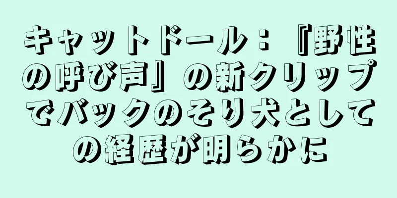 キャットドール：『野性の呼び声』の新クリップでバックのそり犬としての経歴が明らかに