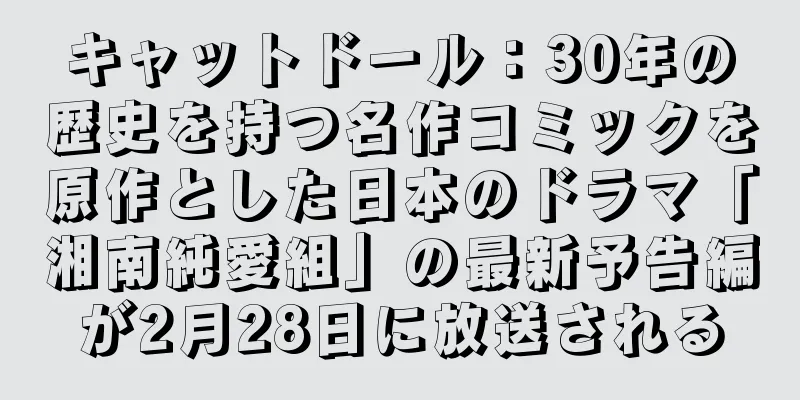 キャットドール：30年の歴史を持つ名作コミックを原作とした日本のドラマ「湘南純愛組」の最新予告編が2月28日に放送される