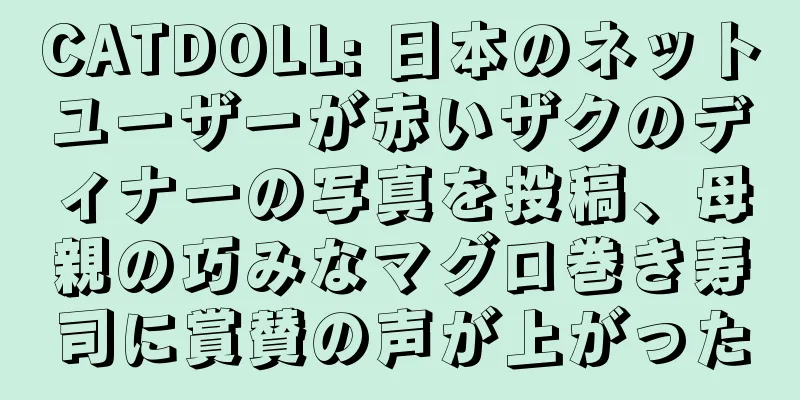 CATDOLL: 日本のネットユーザーが赤いザクのディナーの写真を投稿、母親の巧みなマグロ巻き寿司に賞賛の声が上がった