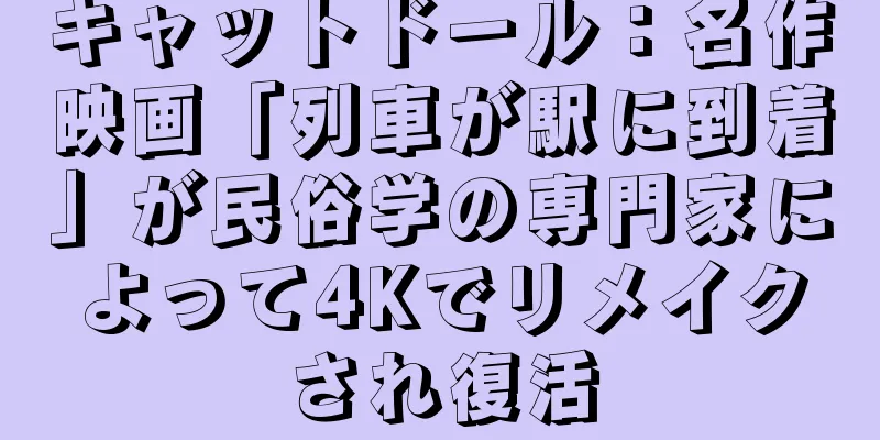 キャットドール：名作映画「列車が駅に到着」が民俗学の専門家によって4Kでリメイクされ復活