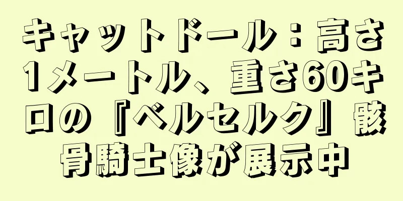 キャットドール：高さ1メートル、重さ60キロの『ベルセルク』骸骨騎士像が展示中