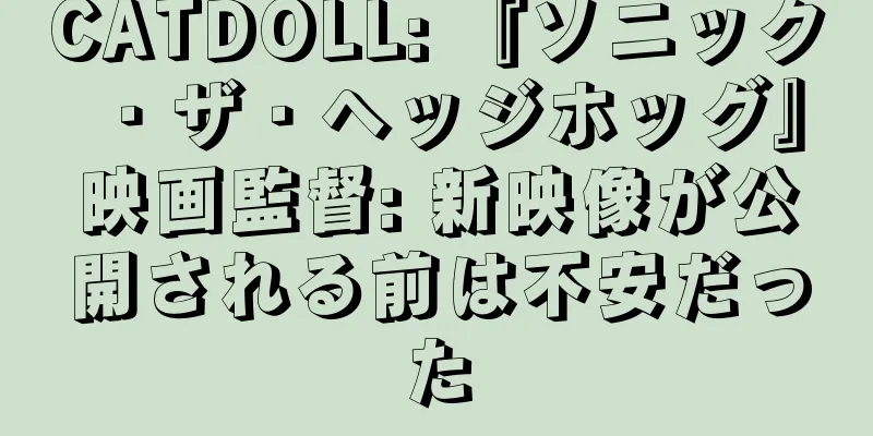 CATDOLL: 『ソニック・ザ・ヘッジホッグ』映画監督: 新映像が公開される前は不安だった