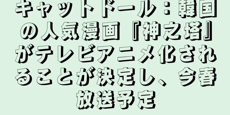 キャットドール：韓国の人気漫画『神之塔』がテレビアニメ化されることが決定し、今春放送予定