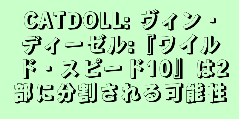 CATDOLL: ヴィン・ディーゼル:『ワイルド・スピード10』は2部に分割される可能性