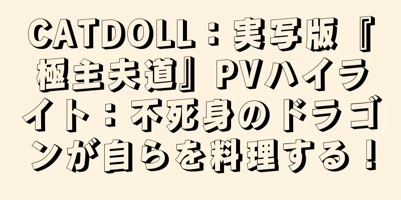 CATDOLL：実写版『極主夫道』PVハイライト：不死身のドラゴンが自らを料理する！
