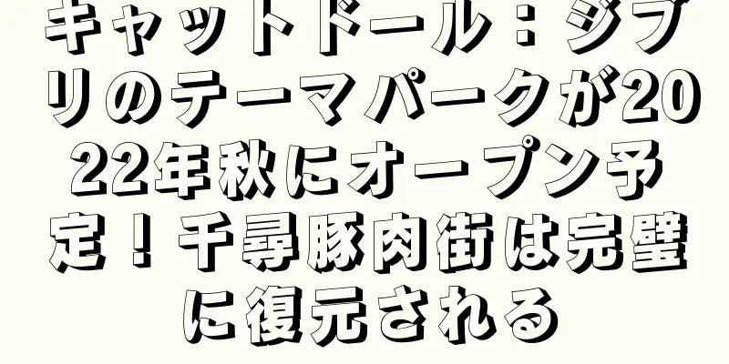 キャットドール：ジブリのテーマパークが2022年秋にオープン予定！千尋豚肉街は完璧に復元される