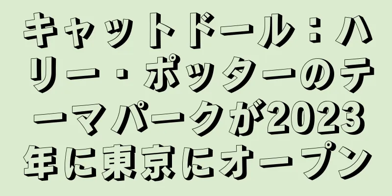 キャットドール：ハリー・ポッターのテーマパークが2023年に東京にオープン