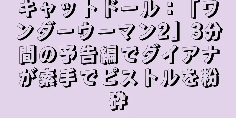 キャットドール：「ワンダーウーマン2」3分間の予告編でダイアナが素手でピストルを粉砕
