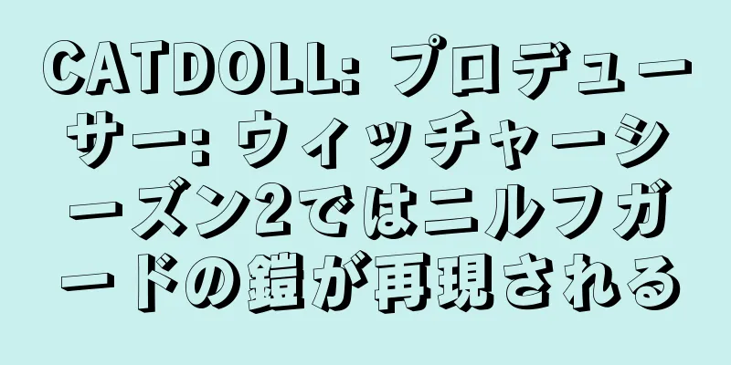 CATDOLL: プロデューサー: ウィッチャーシーズン2ではニルフガードの鎧が再現される
