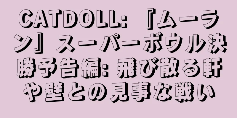 CATDOLL: 『ムーラン』スーパーボウル決勝予告編: 飛び散る軒や壁との見事な戦い