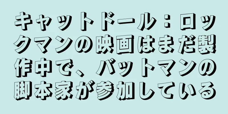 キャットドール：ロックマンの映画はまだ製作中で、バットマンの脚本家が参加している
