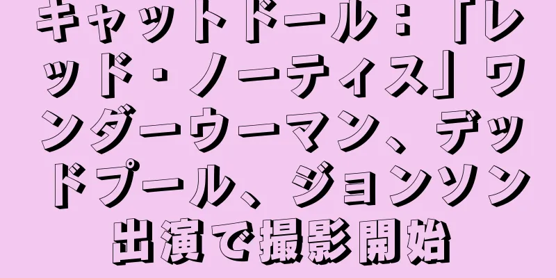 キャットドール：「レッド・ノーティス」ワンダーウーマン、デッドプール、ジョンソン出演で撮影開始