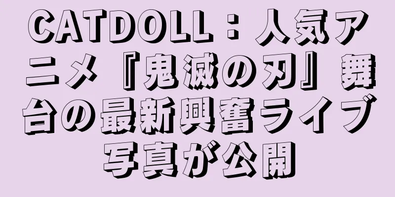 CATDOLL：人気アニメ『鬼滅の刃』舞台の最新興奮ライブ写真が公開