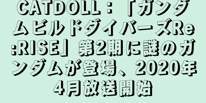 CATDOLL：「ガンダムビルドダイバーズRe:RISE」第2期に謎のガンダムが登場、2020年4月放送開始