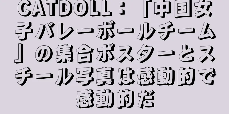 CATDOLL：「中国女子バレーボールチーム」の集合ポスターとスチール写真は感動的で感動的だ