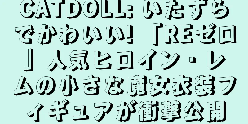 CATDOLL: いたずらでかわいい! 「REゼロ」人気ヒロイン・レムの小さな魔女衣装フィギュアが衝撃公開