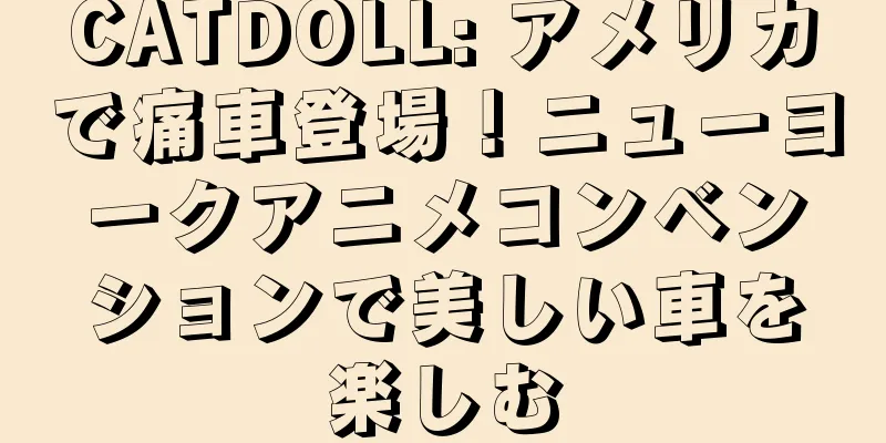 CATDOLL: アメリカで痛車登場！ニューヨークアニメコンベンションで美しい車を楽しむ