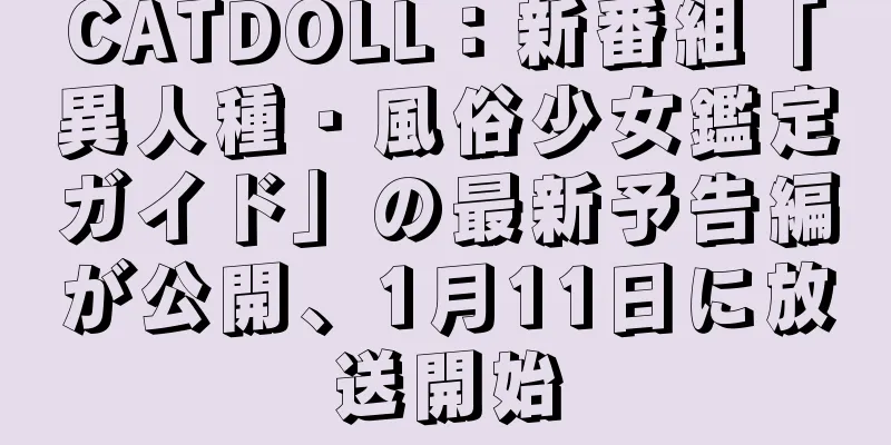 CATDOLL：新番組「異人種・風俗少女鑑定ガイド」の最新予告編が公開、1月11日に放送開始