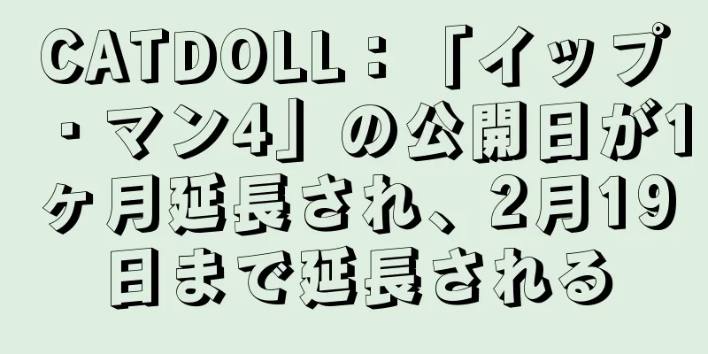 CATDOLL：「イップ・マン4」の公開日が1ヶ月延長され、2月19日まで延長される