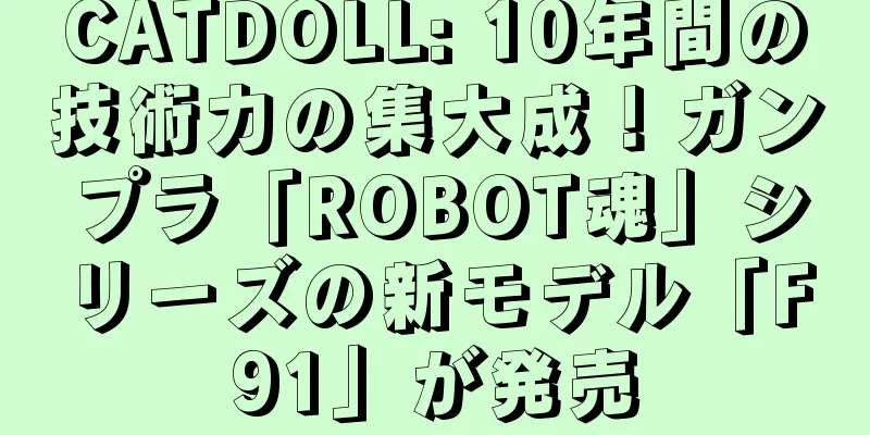 CATDOLL: 10年間の技術力の集大成！ガンプラ「ROBOT魂」シリーズの新モデル「F91」が発売