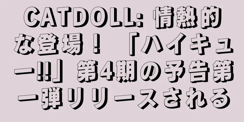 CATDOLL: 情熱的な登場！ 「ハイキュー!!」第4期の予告第一弾リリースされる