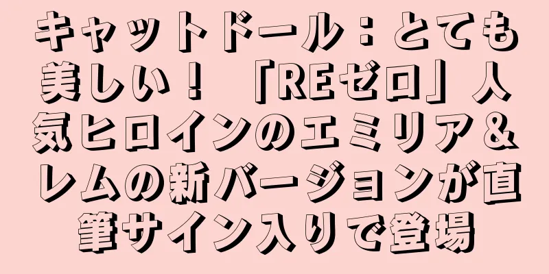 キャットドール：とても美しい！ 「REゼロ」人気ヒロインのエミリア＆レムの新バージョンが直筆サイン入りで登場