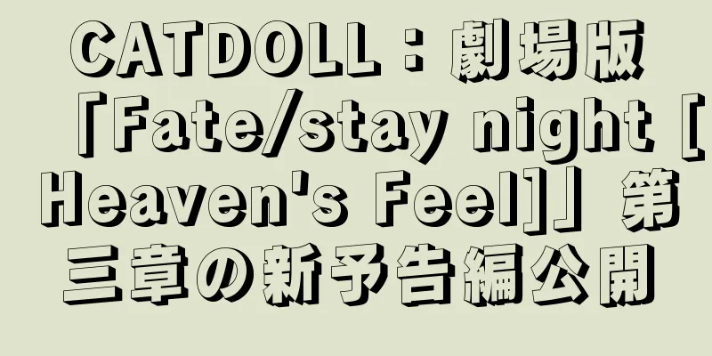 CATDOLL：劇場版「Fate/stay night [Heaven's Feel]」第三章の新予告編公開